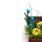 Buangkok flowers  -  Pleasant Basket Flower Bouquet/Arrangement