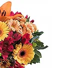 Italy flowers  -  Beautiful bouquet of flowers Flower Bouquet/Arrangement