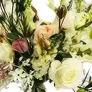 Ouled Maaref flowers  -  Bouquet Paradis Flower Bouquet/Arrangement