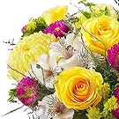 Smederevska Palanka flowers  -  Morning Flowers Flower Bouquet/Arrangement
