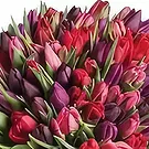 Ghadeer al tair flowers  -  Mixed Touch Flower Bouquet/Arrangement