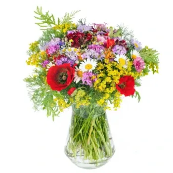 Μπολώνια λουλούδια- Μπουκέτο αγριολούλουδα και μαργαρίτες