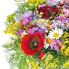 Italy flowers  -  Bouquet of wildflowers and daisies Flower Bouquet/Arrangement