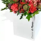 Redruth flowers  -  Carnation Carnival Flower Bouquet/Arrangement