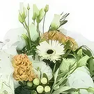Lille blomster- Monza landlig rund bukett Blomsterarrangementer bukett