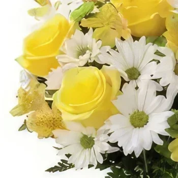 Ribeira Brava blomster- Morning Glory Blomst buket/Arrangement