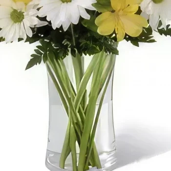 Λισαβόνα λουλούδια- Morning Glory Μπουκέτο/ρύθμιση λουλουδιών