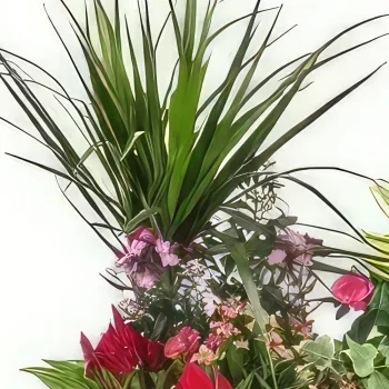 fleuriste fleurs de Tarbes- Composition de deuil Le Jardin d'Olympe Bouquet/Arrangement floral