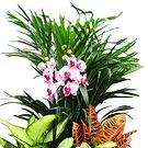 Cala Llonga flowers  -  Garden Orchid Ensemble Flower Bouquet/Arrangement