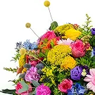 Zande blommor- färgglad hyllning Bukett/blomsterarrangemang
