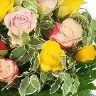 بائع زهور مارتينيك- بوكيه دائري متعدد الالوان دام روز باقة الزهور