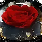 Al-Ḥimaira flowers  -  My Valentine Flower Bouquet/Arrangement