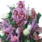 Prokuplje flowers  -  Oriental Purple Orchid Dream Flower Bouquet/Arrangement