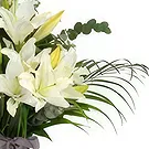 fiorista fiori di Nam Định- Sogno dolce Bouquet floreale