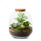 Cala Llonga flowers  -  Love Stone Flower Bouquet/Arrangement