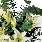 Garhoud flowers  -  Nature Beauty Flower Bouquet/Arrangement
