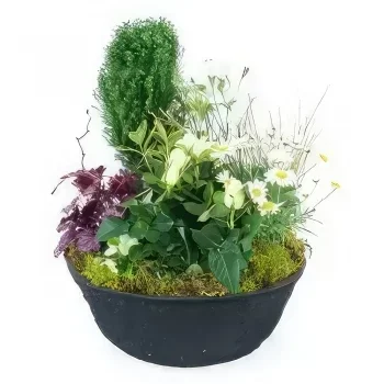 Nantes rože- Nubes Bela rastlinska žalna skodelica Cvet šopek/dogovor