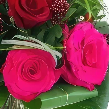 بائع زهور تولوز- باقة نورمبرج حمراء وفوشيه دائرية باقة الزهور