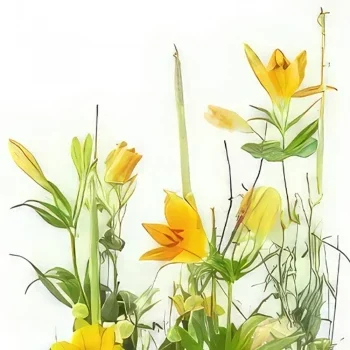 Pau bloemen bloemist- Oranje Amarillo Bloemstuk Boeket/bloemstuk