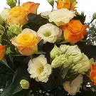 Polen Blumen Florist- Hand-Blumenstrauß Bouquet/Blumenschmuck