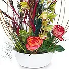 Prokuplje flowers  -  Orchid Blooms Flower Bouquet/Arrangement