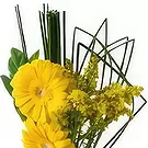 Santa Maria flowers  -  Two Gerberas in Vase Flower Bouquet/Arrangement