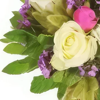 بائع زهور تولوز- باقة باناش مستديرة باقة الزهور
