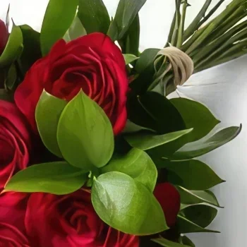 רסיפה פרחים- זר של 12 ורדים אדומים זר פרחים/סידור פרחים