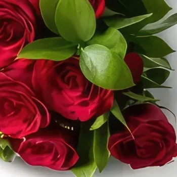 רסיפה פרחים- זר של 12 ורדים אדומים זר פרחים/סידור פרחים