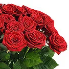 קנדרה פרחים- 30 זר ורדים אדומים זר פרחים/סידור פרחים