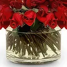 Tây Ninh flowers  -  Simply Red Flower Bouquet/Arrangement