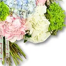 An-Najadah blomster- Pastellhortensiaer med grøntområder Blomsterarrangementer bukett
