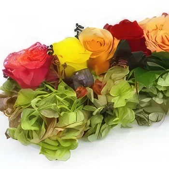 Montpellier blomster- Sti av fargede roser Sokrates Blomsterarrangementer bukett