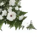 벨레브 돌 꽃- 평화로운 작별 인사 꽃다발/꽃꽂이