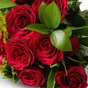 Belém kvety- Kytica 12 červených ruží a čokolády Aranžovanie kytice
