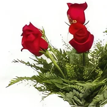 Valladolid bloemen bloemist- Helemaal rood Boeket/bloemstuk