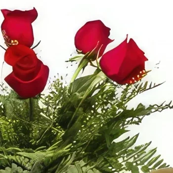 Valladolid bloemen bloemist- Helemaal rood Boeket/bloemstuk