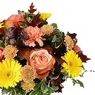 Taunton flowers  -  Orange Bloom Medley Flower Bouquet/Arrangement