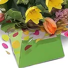 Palia Ampelia flowers  -  Spring City Container Flower Bouquet/Arrangement