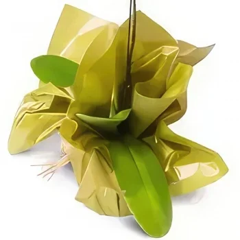 flores el Salvador floristeria -  Phalaenopsis Orquídea para regalo Ramo de flores/arreglo floral