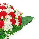 Borec Blumen Florist- Piaphlora-Beileidsstrauß Bouquet/Blumenschmuck