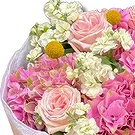 Garhoud flowers  -  Pink and White Fresh Mixed Flower Bouquet Flower Bouquet/Arrangement