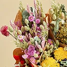 Wiener Neustadt Blumen Florist- XL Naturrosa Blumenstrauß Bouquet/Blumenschmuck