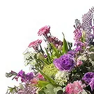 Adma flowers  -  Eternal Eden Enclosure  Flower Bouquet/Arrangement