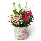Budapest flowers  -  Pink Room - Planting Plants Flower Bouquet/Arrangement