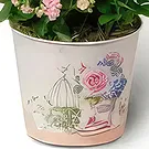 Budapest flowers  -  Pink Room - Planting Plants Flower Bouquet/Arrangement