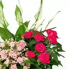 Budapest flowers  -  Pink Room - Planting Plants Flower Bouquet/Arrangement