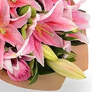 Prokuplje flowers  -  Pink Magic Flower Bouquet/Arrangement