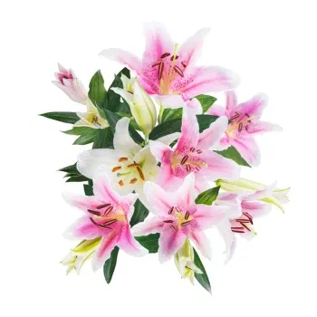 بائع زهور ميلان- باقة من الزنابق الوردية
