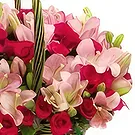 Cung Kiệm flowers  -  Unrivaled Beauty Flower Bouquet/Arrangement